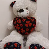 خرس تدی بزرگ