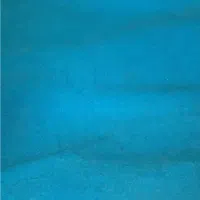 موکت تمیز در حد نو