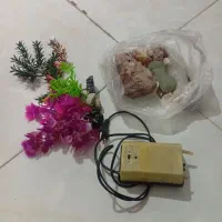 پمپ اکواریوم معاوضه با پرنده