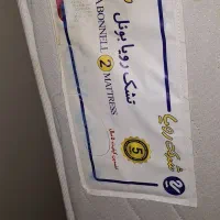 تشک نوجوان رویا