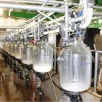 خانواده جهت کار در گاوداری صنعتی|استخدام صنعتی، فنی، مهندسی|اردبیل, |دیوار