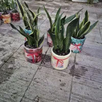 تخفیف روز زن