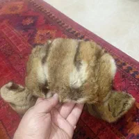 کلاه پوست زمستانی