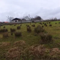 فروش زمین|فروش زمین و ملک کلنگی|رشت, احمد گوراب|دیوار