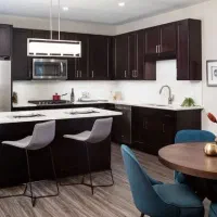 خانم جهت انجام امور جاری منزل