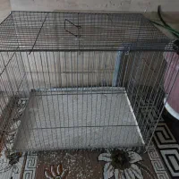 قفس پرندگان