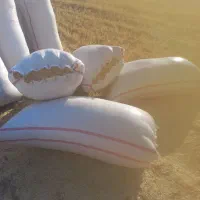 کاه گندم|لوازم جانبی حیوانات|ایلام, |دیوار