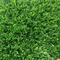 فنس برگی و چمنی و چمن|گل و گیاه طبیعی|تهران, شهرک آزادی|دیوار