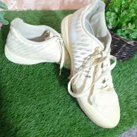 کفش سالنی لونارگتو