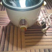 پلوپز درحدنو