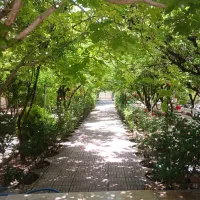 نیرو جهت نظافت و رسیدگی