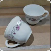 ظروف آرکوپال اصل مناسب