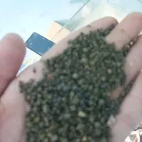 شن عربی مخصوص کف آکواریم معاوضه هم دارم .