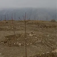 باغ بحر اتوبان قزوین تنکابن معاوضه با زمین مهرگان