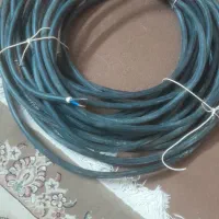 کابل برق. کفتر