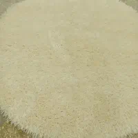 فرش فلوکاتی نو بدون هیچ استفاده|فرش|آران و بیدگل, |دیوار