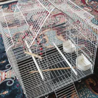 قفس پرنده سالم|لوازم جانبی حیوانات|قم, اسمعیل آباد|دیوار
