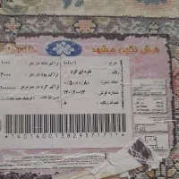 دوعدد پادری نگین مشهد|پادری|تهران, آهنگ|دیوار