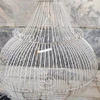 قفس پرنده