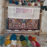 فرش نیمه کاره زرنیم سالاری|فرش|تبریز, |دیوار