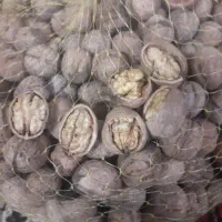 گردوی اعلاخوانسار