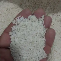 برنج هاشمی دره رود محصول زمین خودمان