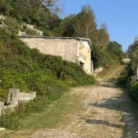 فروش زمین جنگلی در لفور|فروش زمین و ملک کلنگی|آلاشت, |دیوار