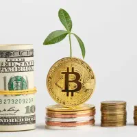 تدریس خصوصی بازار های مالی ( کریپتو ) از صفر تا صد