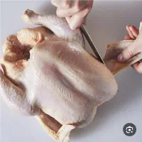 کارگر ساده جهت کار در کشتارگاه مرغ نیازمندیم