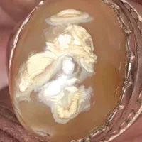 فروش انگشتر های خاص