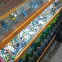 ویترین شیشه ای ...