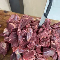 پخش گوشت گوساله ( تیکه گوشت و خرده گوشت) چرخ کرده|خوردنی و آشامیدنی|تهران, سعادت‌آباد|دیوار