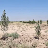 8000مترباغ سندشش دانگ سهیلیه اقبالیه|فروش زمین و ملک کلنگی|کرج, گلشهر|دیوار
