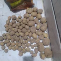 سیب زمینی تازه وخشمزه مناسب سمبوسه ها