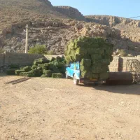 خرید فروش پرس یونجه و یونجه کوفته|عمدهفروشی|بانش, |دیوار