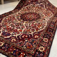 جفت پرده ای برچلو همدان گیاهی گوشتدار سالم|فرش|همدان, |دیوار
