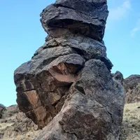 سیم کارت دایمی
