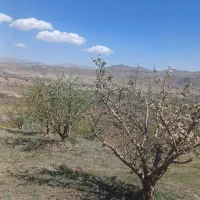 باغ قطره‌ای بالاتر از کمربندی نزدیکی ایستگاه گاز|فروش دفتر صنعتی، کشاورزی، تجاری|اهر, |دیوار