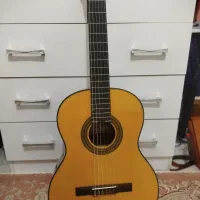 گیتار Pallado اصل اسپانیایی|گیتار، بیس، امپلیفایر|قزوین, |دیوار