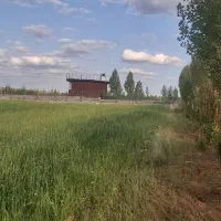 زمین۲۰۸۰ متری  در سد الخلج|فروش زمین و ملک کلنگی|تیکمه داش, |دیوار