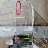 قفس بزرگ ۴ لیوانه با تمام تجهیزات.فضله گیر دارد