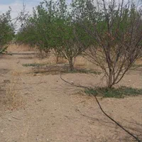 چهار دیواری ۴۵۰ متری زردنجان|فروش زمین و ملک کلنگی|اصفهان, شهرک زاینده رود|دیوار
