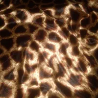 پارچه|لباس|اهواز, کوی مندلی(سه راه خرمشهر)|دیوار