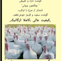 بوقلمون سفید بیوتی