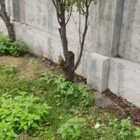 بنا بامناسب‌ترین قیمت‌