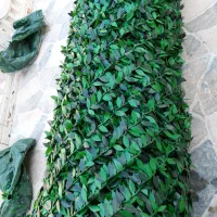 فنس چمنی|گل مصنوعی|دزفول, |دیوار