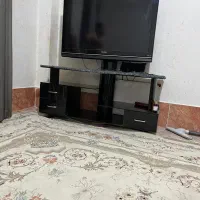 زیر تلوزیونی