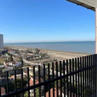 زمین پلاک یک دریا واقعی/مشارکت در ساخت