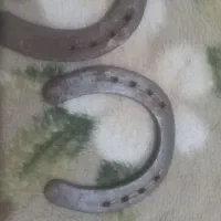 نعل اسب|کلکسیون اشیاء عتیقه|تربت جام, پاسداران|دیوار