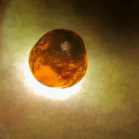 کلکسیون|کلکسیون سکه، تمبر، اسکناس|دورود, |دیوار